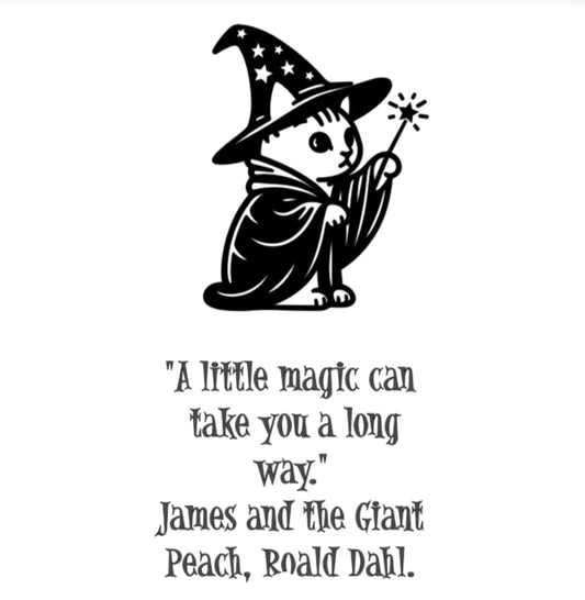 A Little Magic Can Take you a Long way T shirt